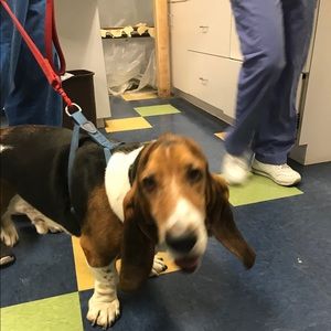 Meet your Posher, Helene